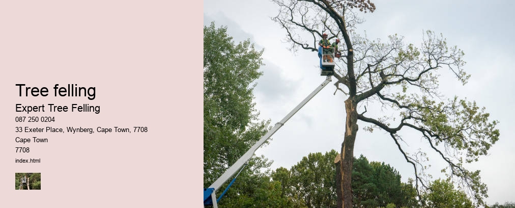 tree felling